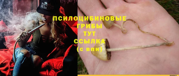 дживик Аркадак