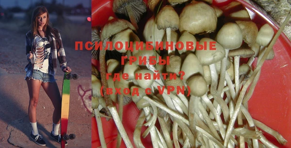 дживик Аркадак