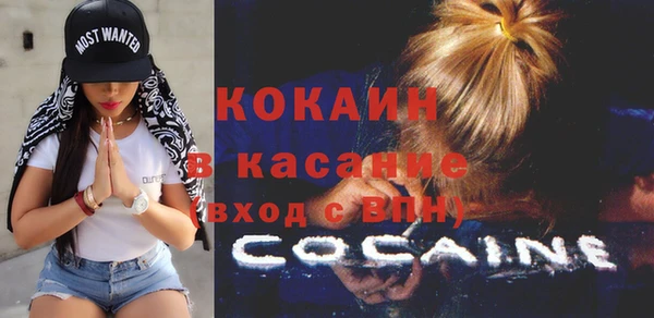 дживик Аркадак