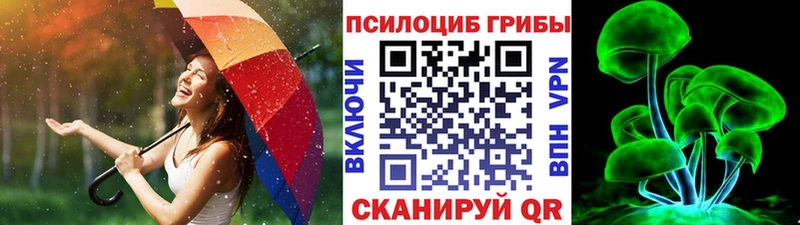 блэк спрут ссылка  Пушкино  Галлюциногенные грибы мухоморы  сколько стоит 
