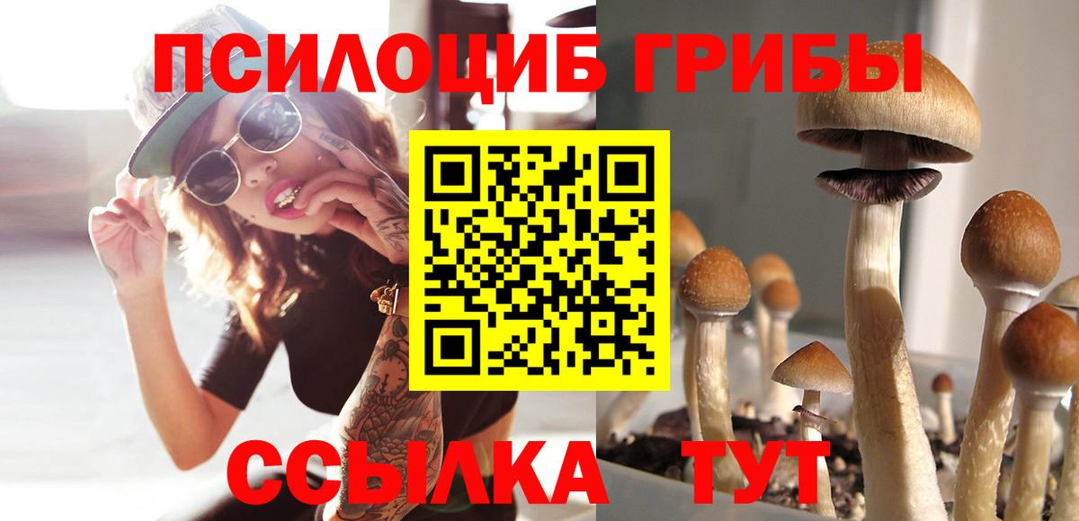 Пушкино  Галлюциногенные грибы Psilocybe  Вход с VPN 