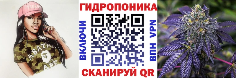 где купить   Пушкино  mega сайт  Канабис индика 